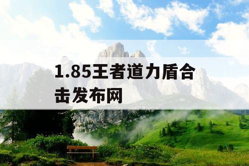 1.85王者道力盾合击发布网 1.85王者道力盾合击发布网