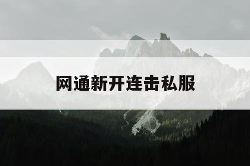 网通新开连击私服