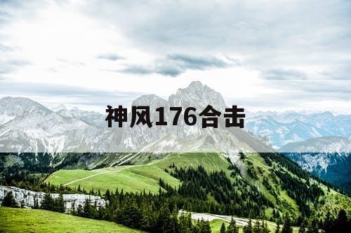 神风176合击