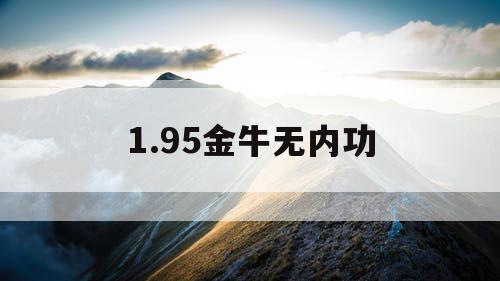 1.95金牛无内功