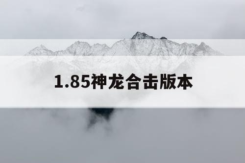 1.85神龙合击版本 1.85神龙合击版本