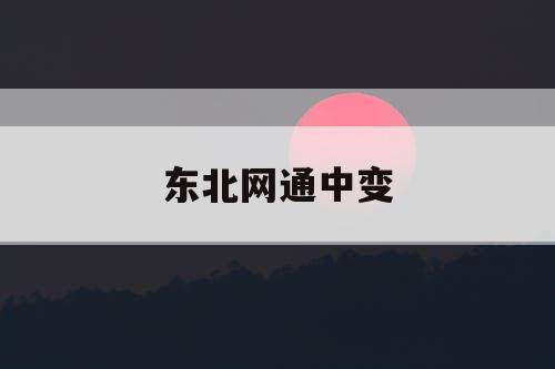 东北网通中变