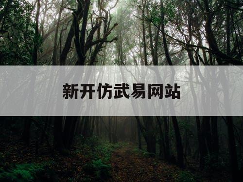 新开仿武易网站 新开仿武易网站