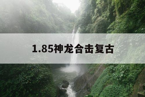 1.85神龙合击复古 1.85神龙合击复古