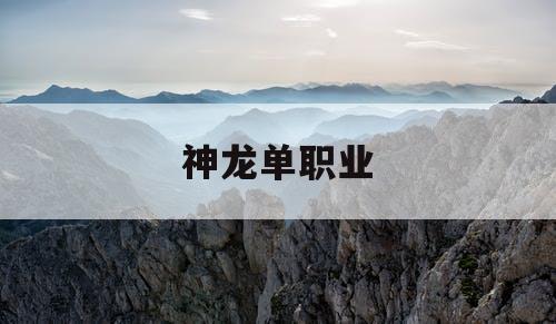 神龙单职业 神龙单职业
