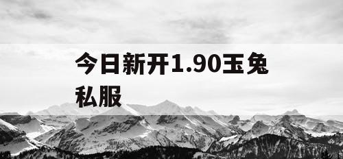 今日新开1.90玉兔私服