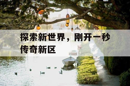 探索新世界，刚开一秒传奇新区