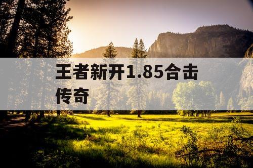 王者新开1.85合击传奇 王者新开1.85合击传奇