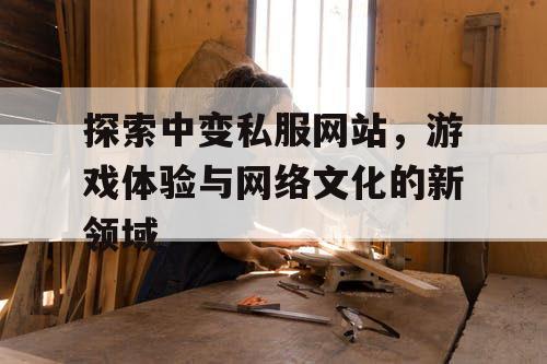 探索中变私服网站,游戏体验与网络文化的新领域 探索中变私服网站,游戏体验与网络文化的新领域