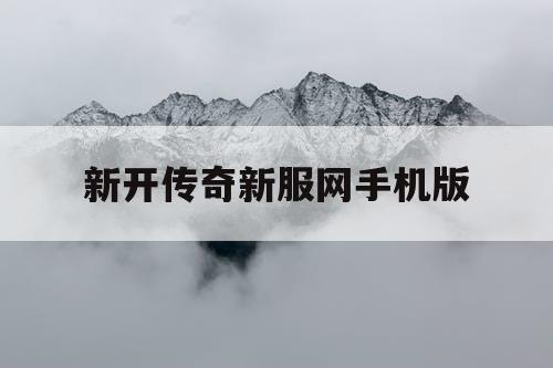 新开传奇新服网手机版 新开传奇新服网手机版