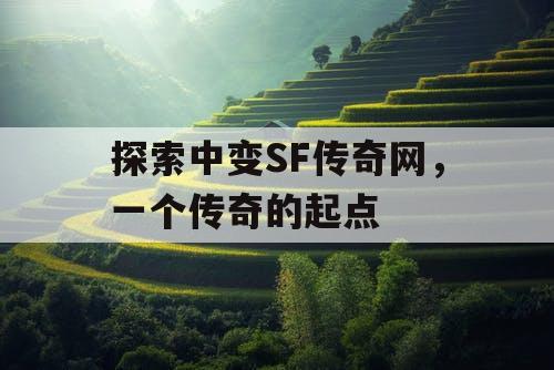 探索中变SF传奇网,一个传奇的起点 探索中变SF传奇网,一个传奇的起点
