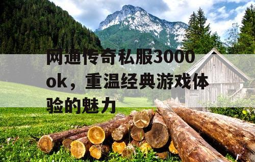 网通传奇私服3000ok,重温经典游戏体验的魅力 网通传奇私服3000ok,重温经典游戏体验的魅力
