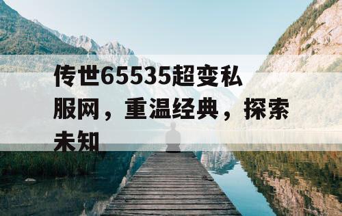 传世65535超变私服网，重温经典，探索未知