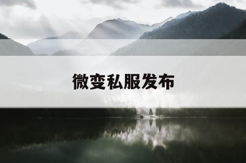 微变私服发布