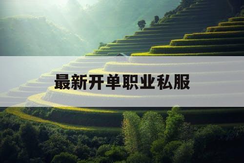 最新开单职业私服