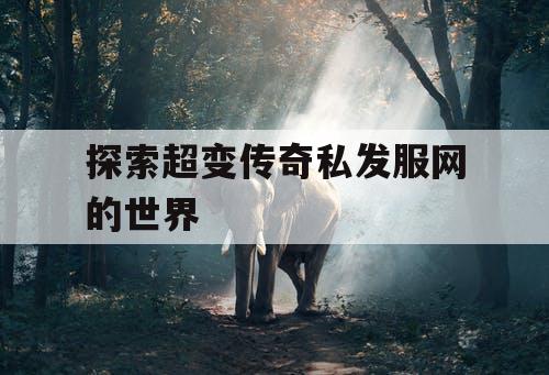 探索超变传奇私发服网的世界 探索超变传奇私发服网的世界