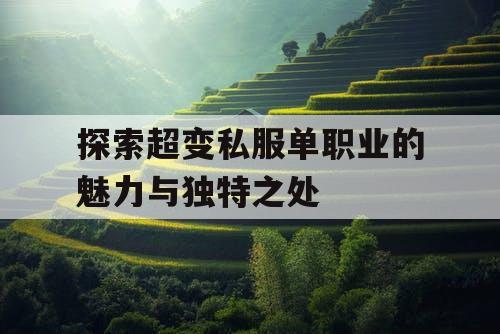探索超变私服单职业的魅力与独特之处 探索超变私服单职业的魅力与独特之处