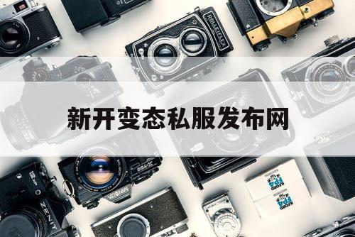 新开变态私服发布网