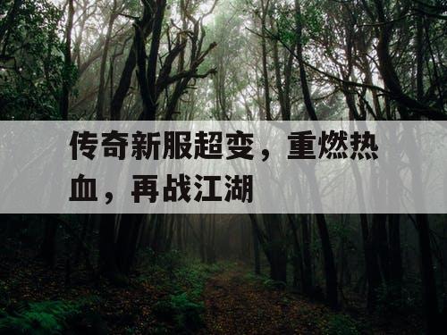 传奇新服超变,重燃热血,再战江湖 传奇新服超变,重燃热血,再战江湖