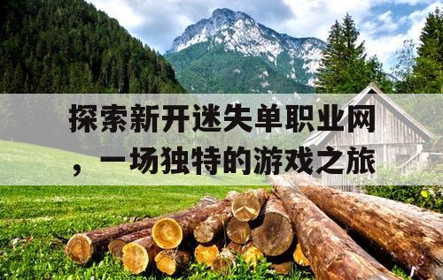 探索新开迷失单职业网,一场独特的游戏之旅 探索新开迷失单职业网,一场独特的游戏之旅