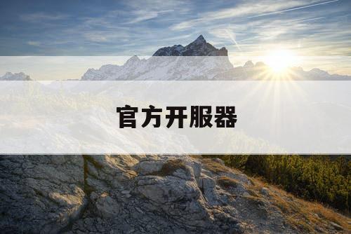 官方开服器 官方开服器