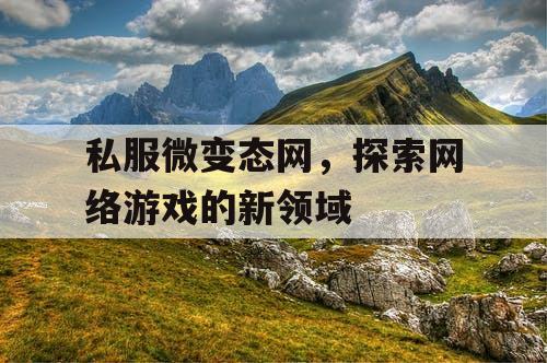 私服微变态网,探索网络游戏的新领域 私服微变态网,探索网络游戏的新领域