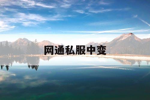 网通私服中变 网通私服中变