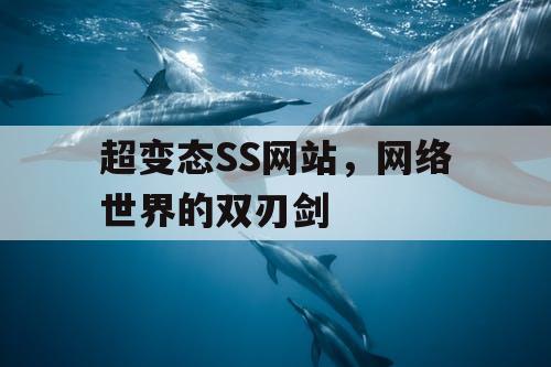 超变态SS网站,网络世界的双刃剑 超变态SS网站,网络世界的双刃剑