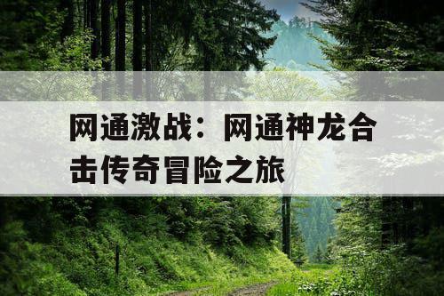 网通激战:网通神龙合击传奇冒险之旅 网通激战:网通神龙合击传奇冒险之旅