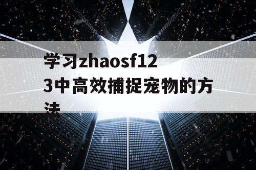 学习zhaosf123中高效捕捉宠物的方法