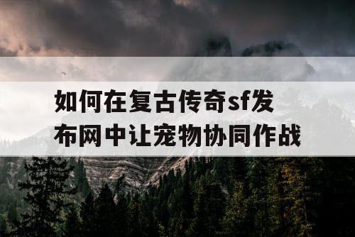 如何在复古传奇sf发布网中让宠物协同作战 如何在复古传奇sf发布网中让宠物协同作战