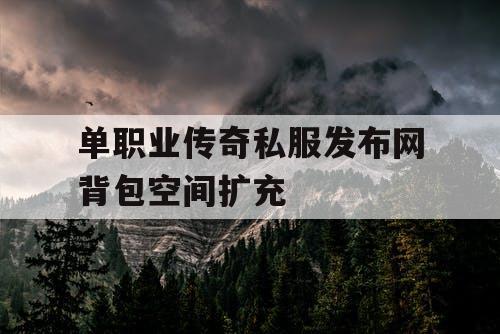 单职业传奇私服发布网背包空间扩充