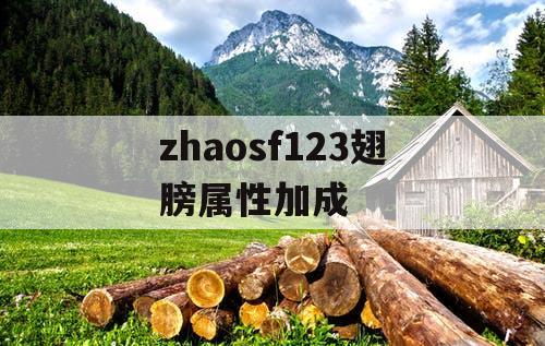 zhaosf123翅膀属性加成
