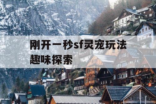 刚开一秒sf灵宠玩法趣味探索
