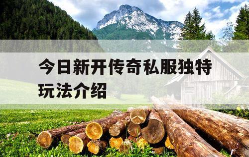 今日新开传奇私服独特玩法介绍